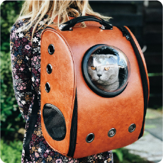 Zapetto