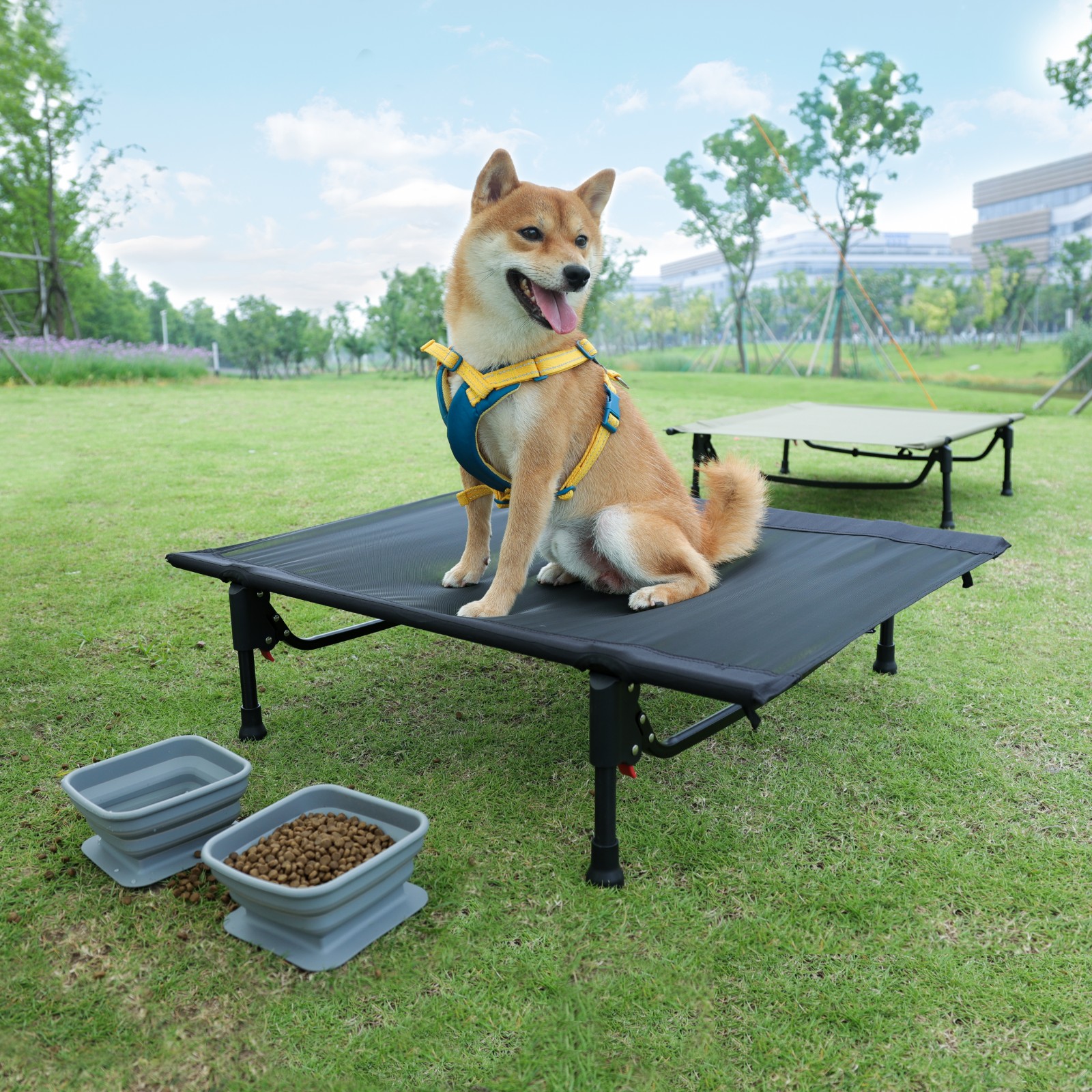 Pet cot mesh type