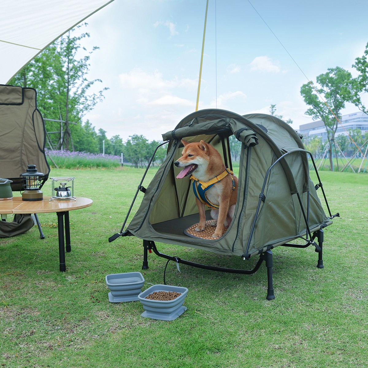 Pet tent