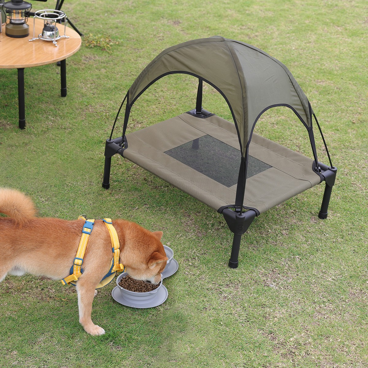Pet cot