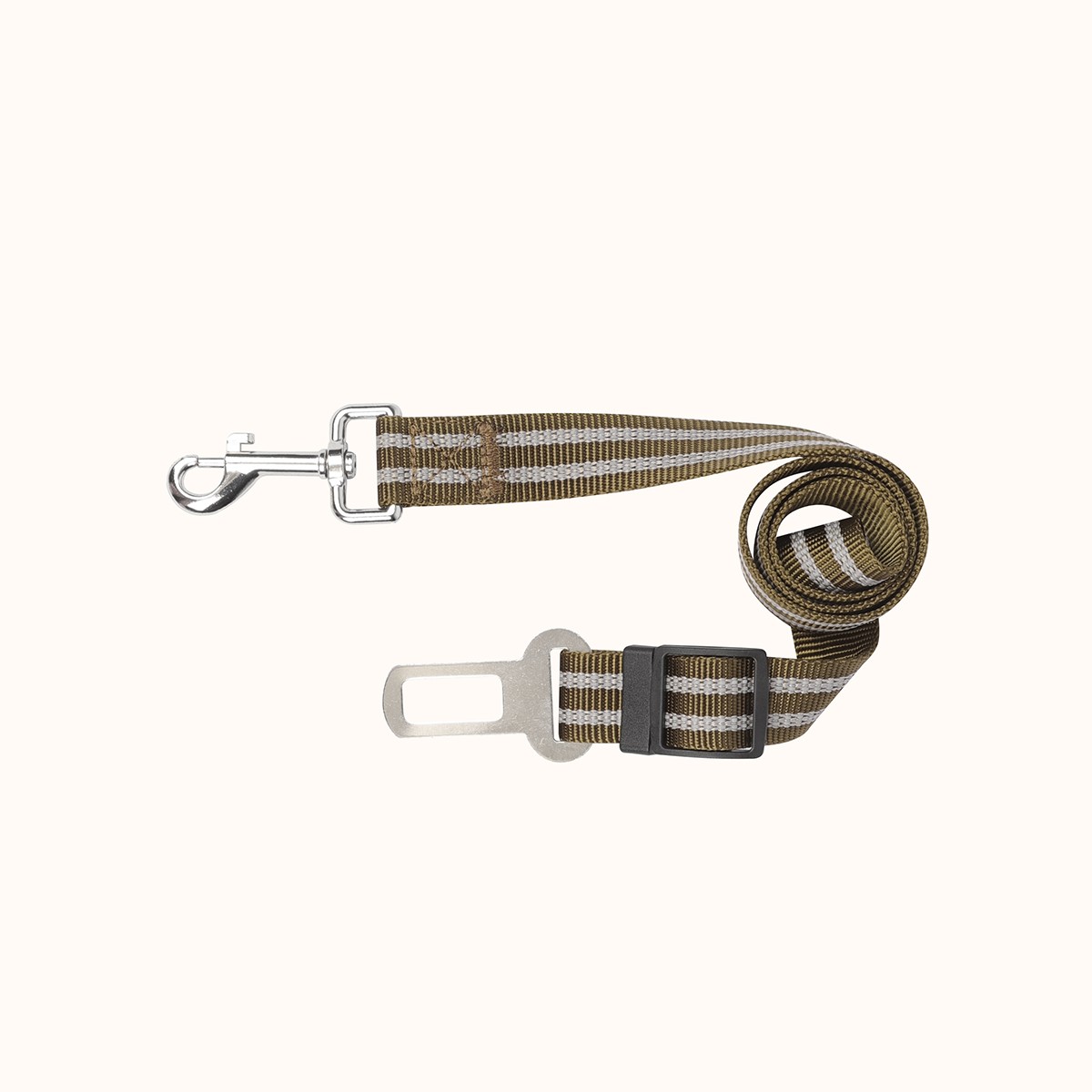 Dog seat belts