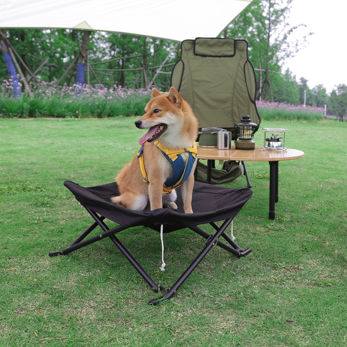 Pet cot