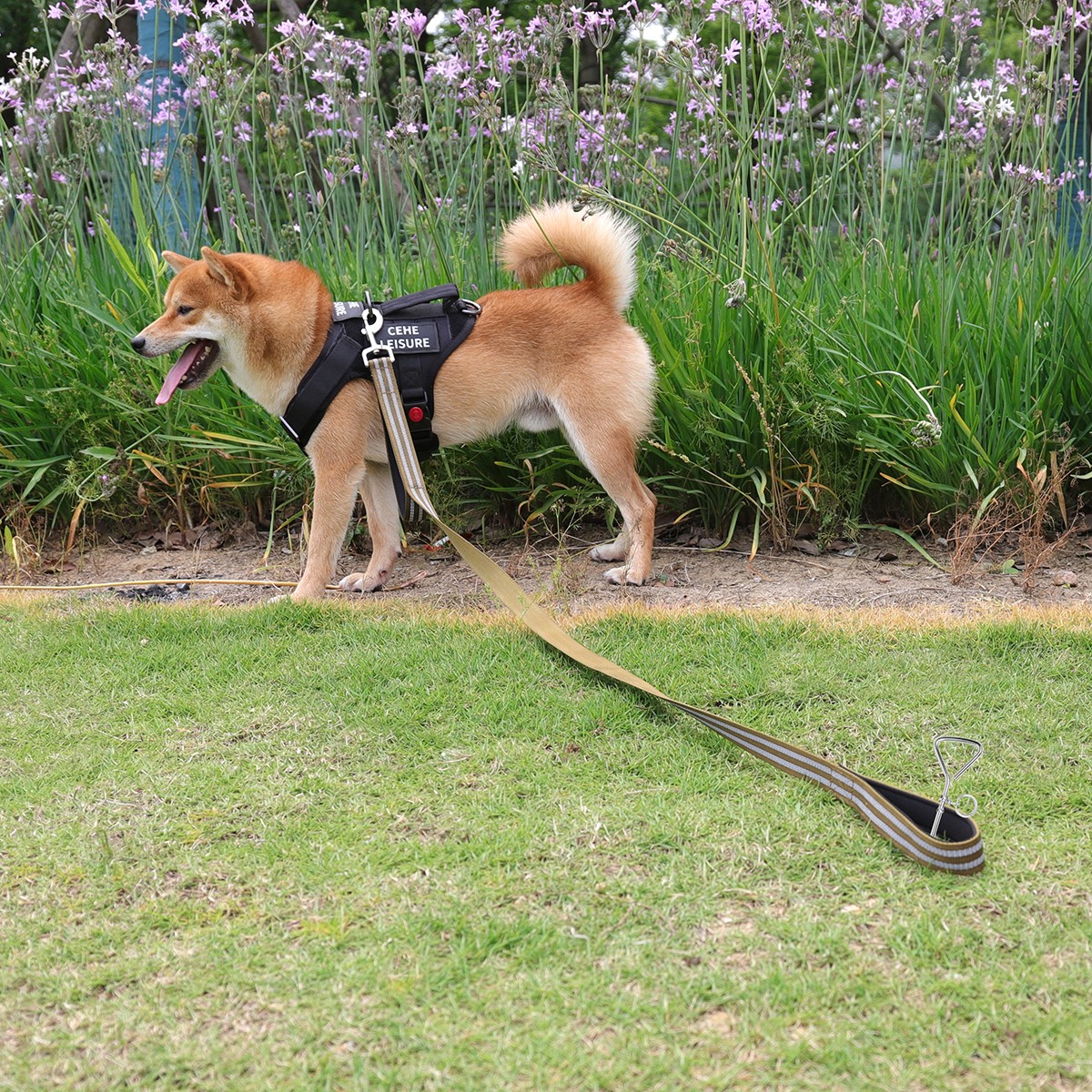 Dog harnesses
