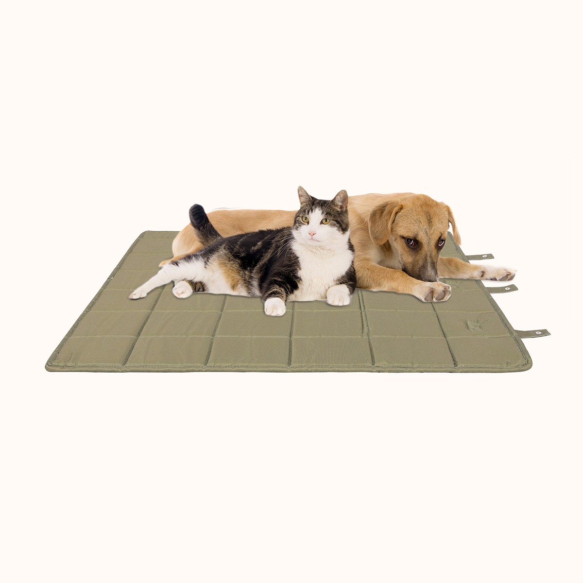 Water repellency double-sided mat