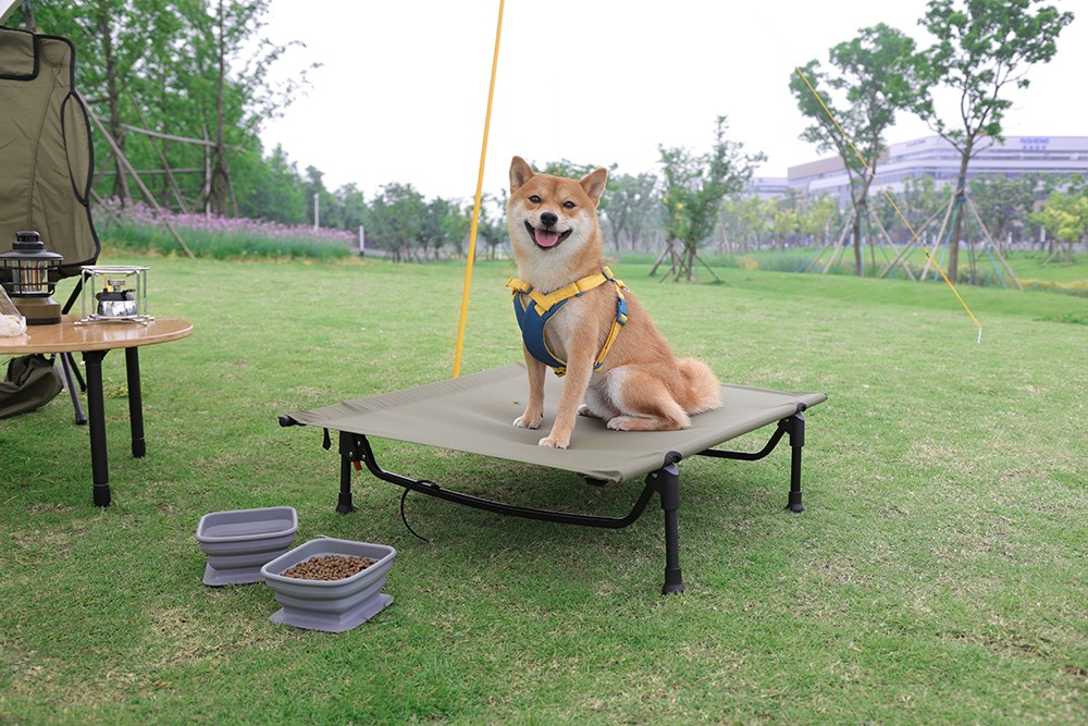 Pet cot