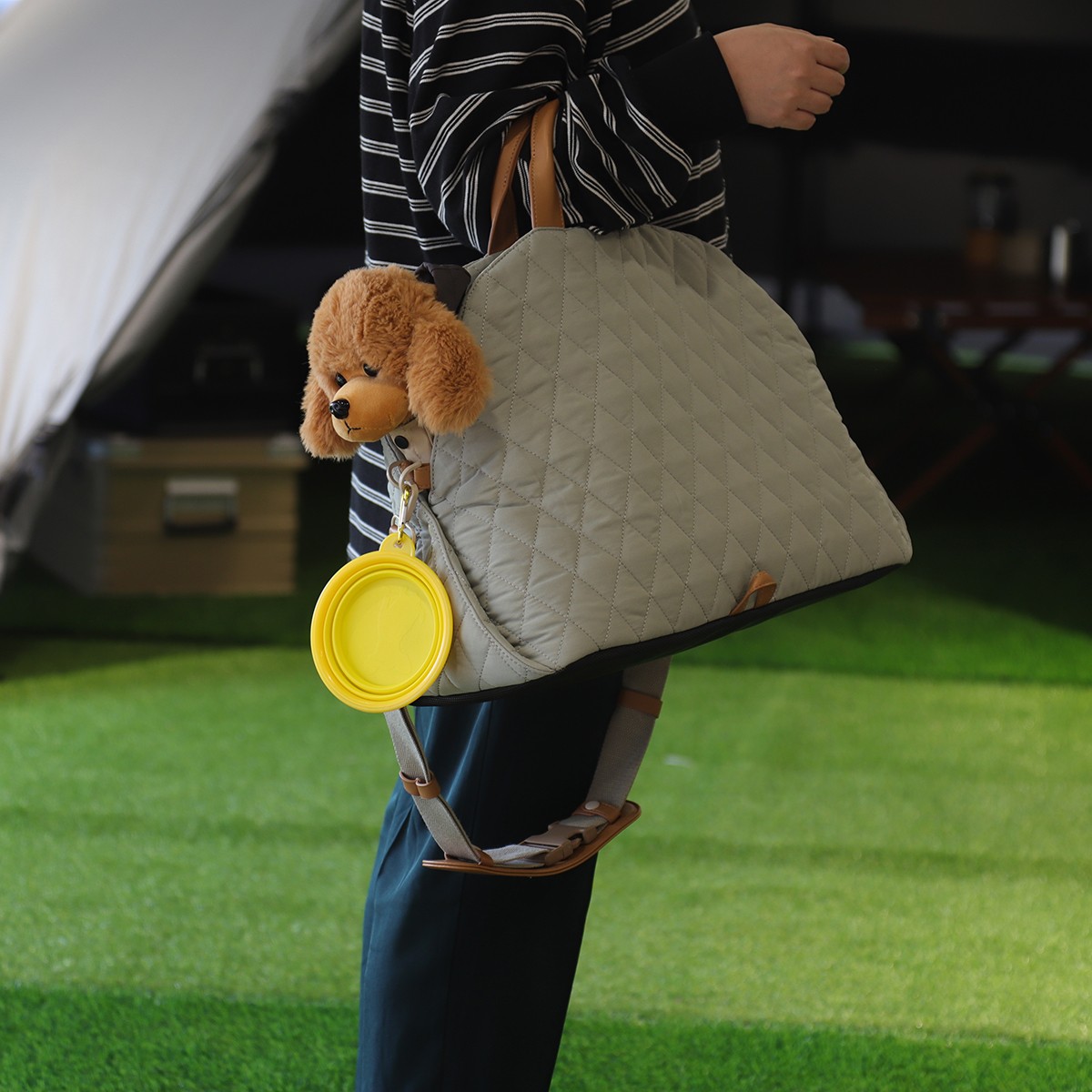 Pet bag
